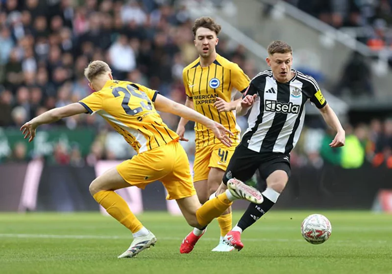 Phong độ của Brighton vs Newcastle - đối lập rõ ràng